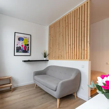 Hook Old Town Vilnius