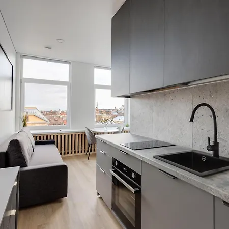 Hook Old Town * 维尔纽斯