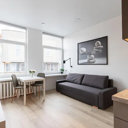 Hook Old Town 公寓 维尔纽斯