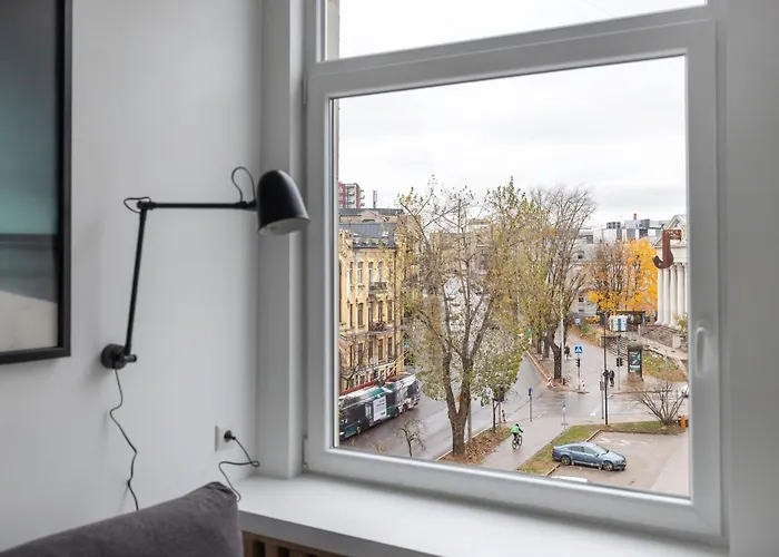 Hook Old Town * Vilna